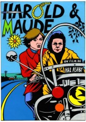 Reprise en salle du film - Harold & Maude